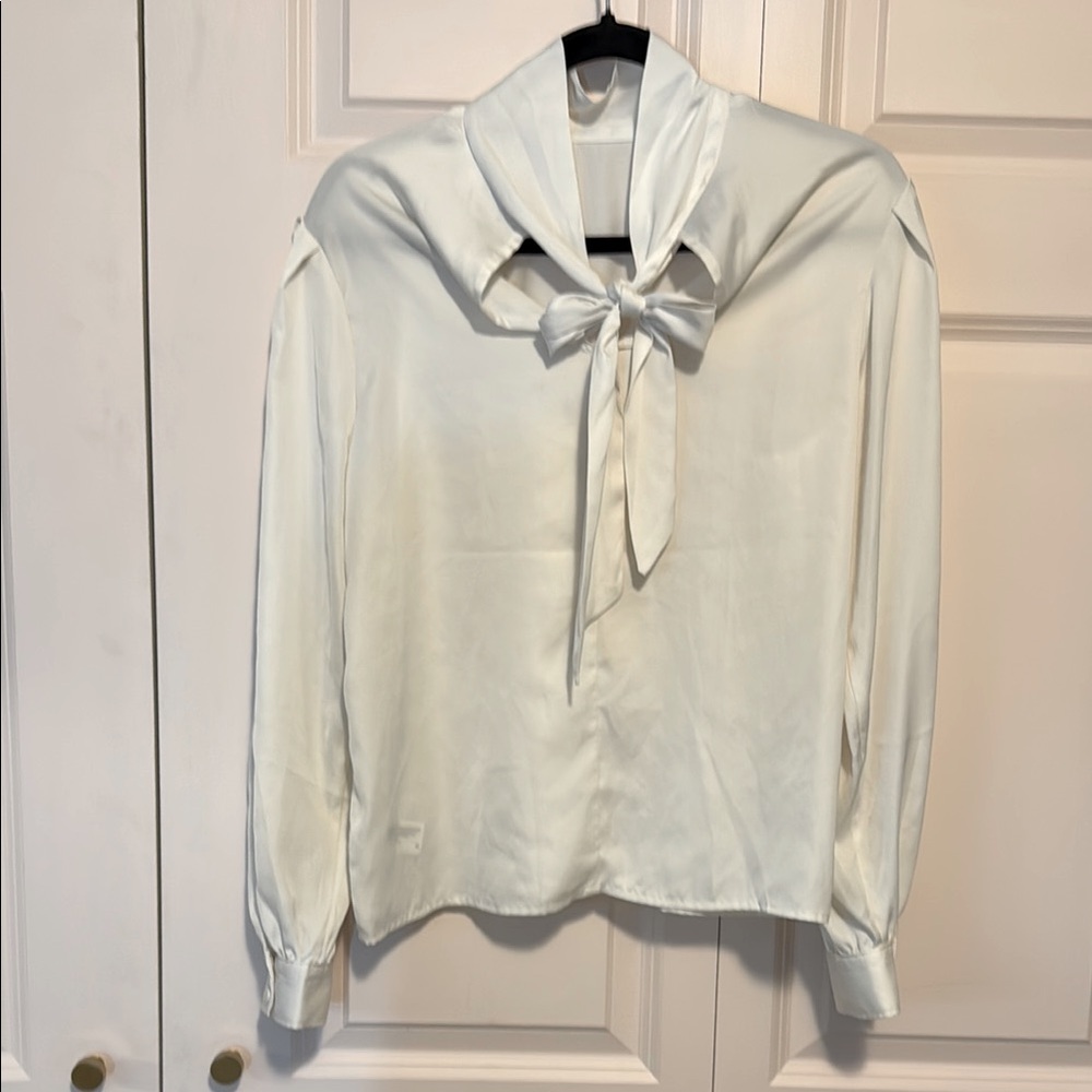 Satin Neck Tie Long Sleeve Blouse
